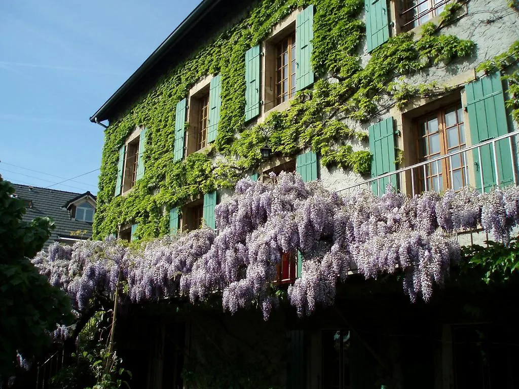 Guest house La Maison De Concise (Adults Only)